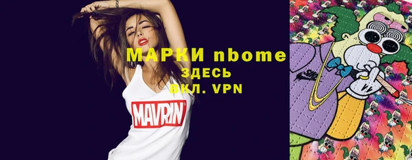 гидра Каменка