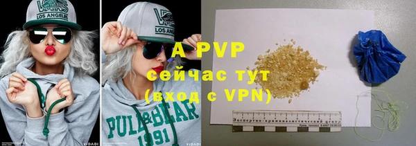 гидра Каменка