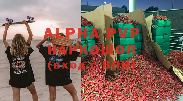 гидра Каменка