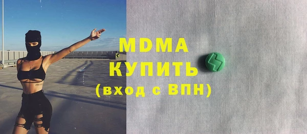 гидра Каменка