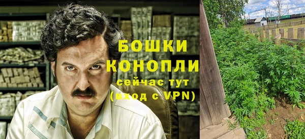 гидра Каменка