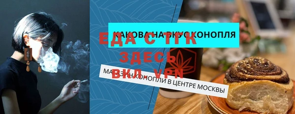гидра Каменка