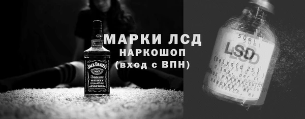 гидра Каменка