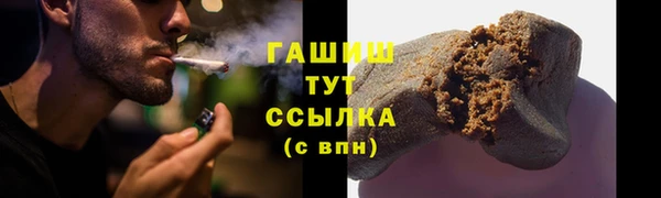 гидра Каменка