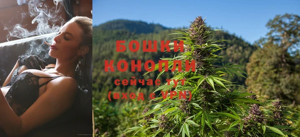 гидра Каменка