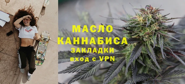 гидра Каменка