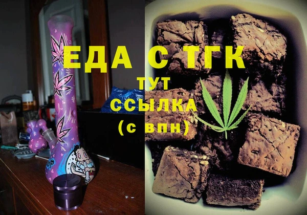 гидра Каменка
