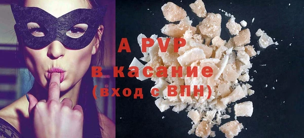 гидра Каменка