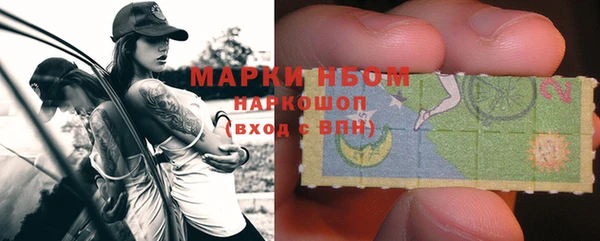 гидра Каменка