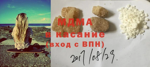 гидра Каменка