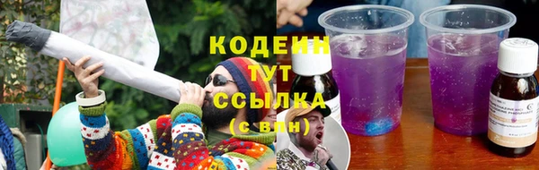 гидра Каменка